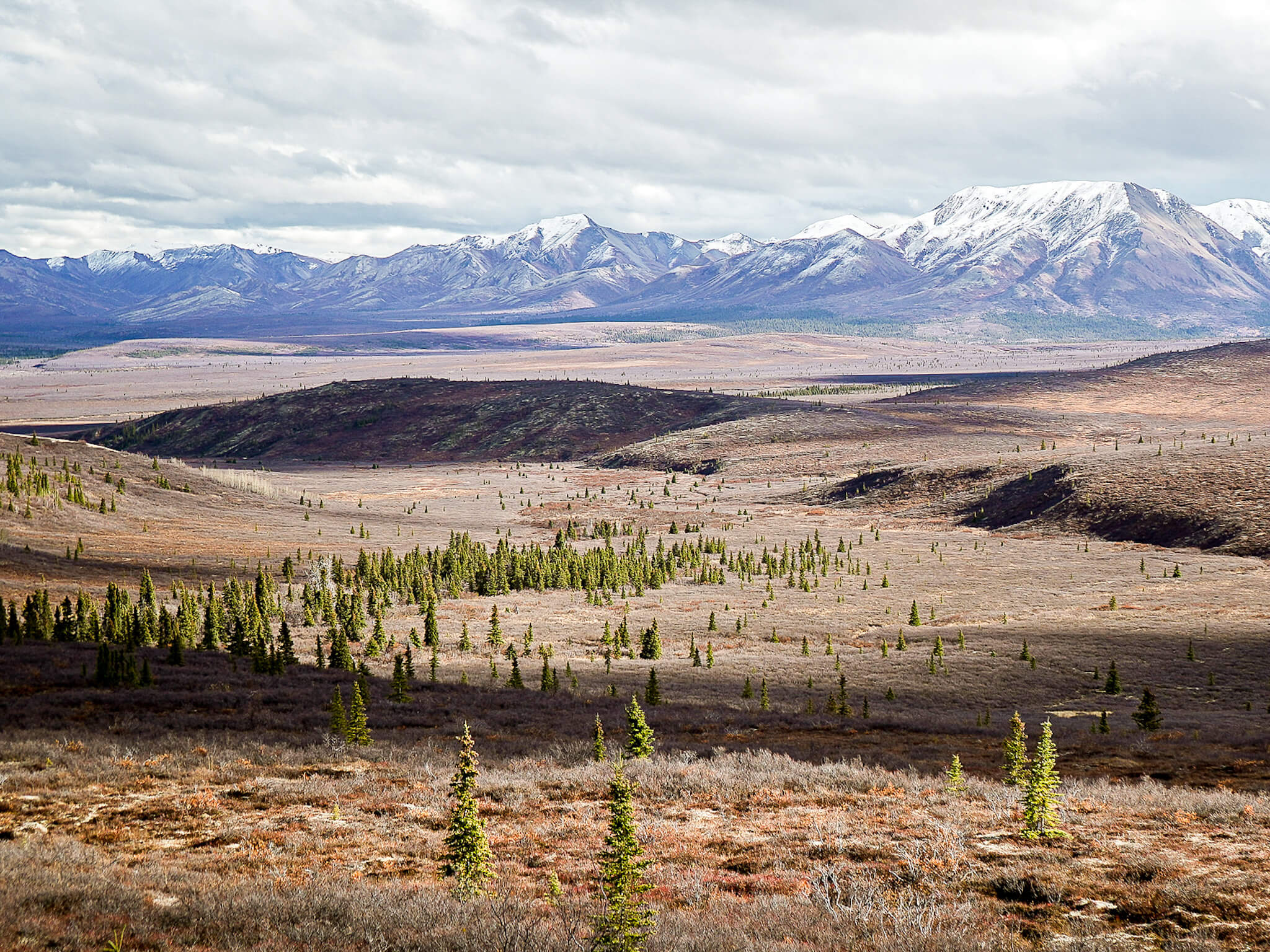 Park Denali Alaska.jpg